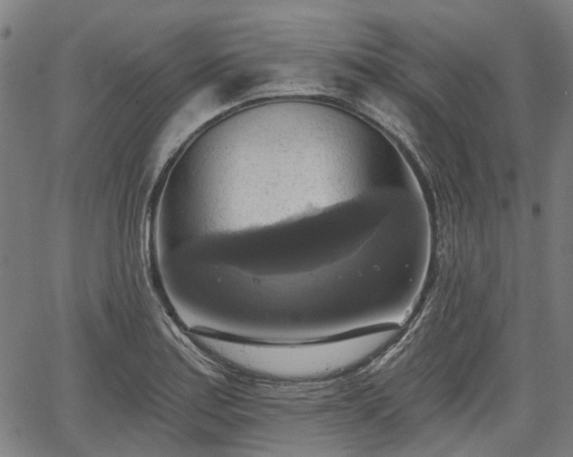 X0000067351179200604030926