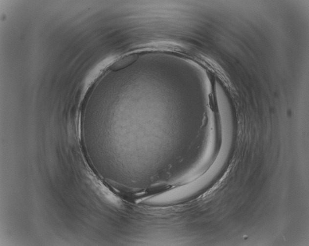 X0000067351180200604030926