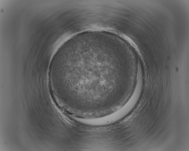 X0000067351183200604030926