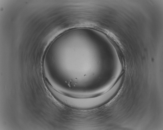 X0000067351184200604030926