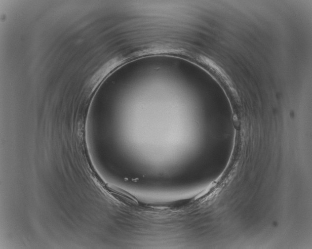 X0000067351185200604030926