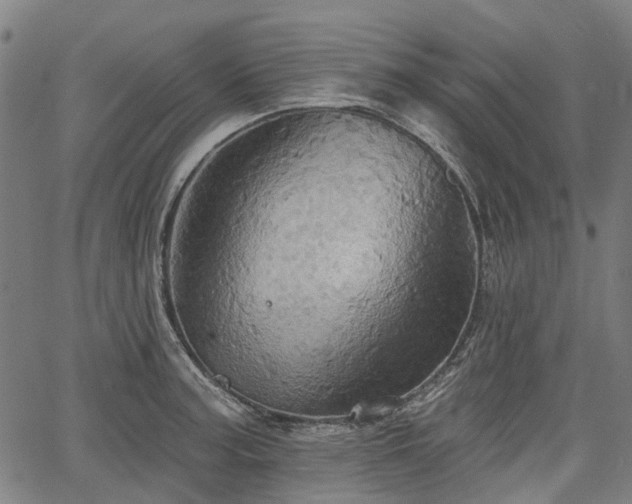 X0000067351187200604030926