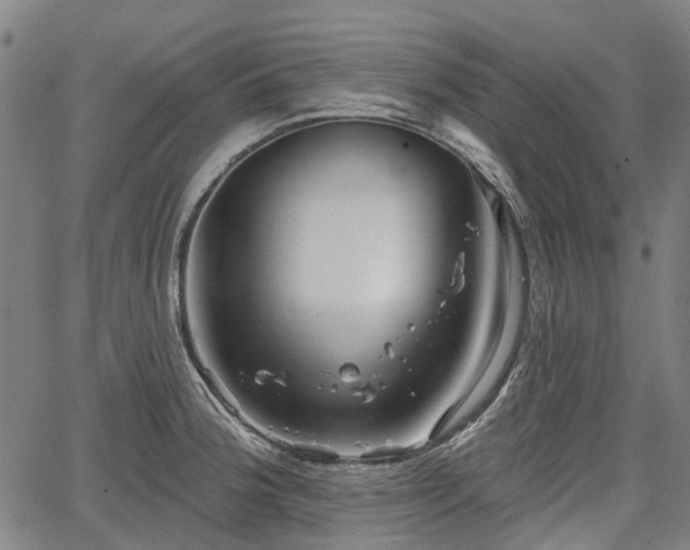 X0000067351188200604030926