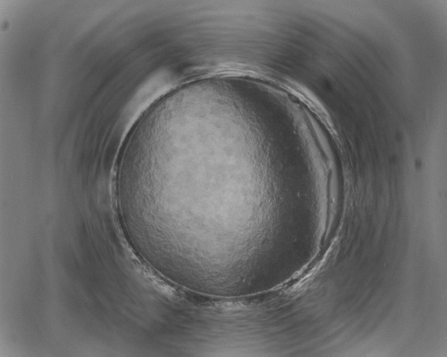 X0000067351190200604030926