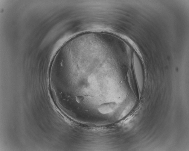 X0000067351191200604030926