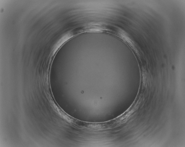 X0000067351194200604030926