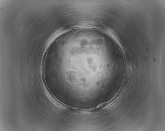 X0000067351195200604030926