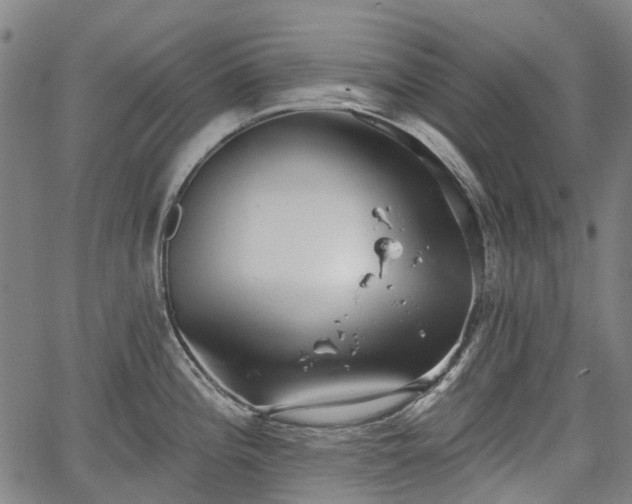 X0000067351196200604030926