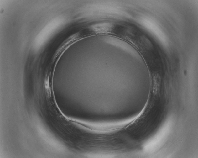 X0000067351198200604030926