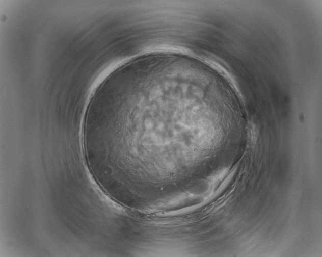 X0000067351199200604030926