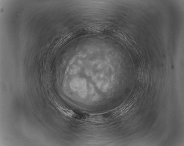 X0000067351201200604030925