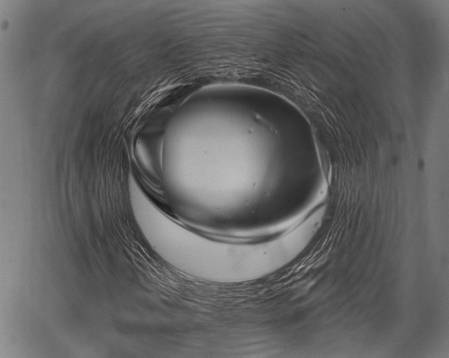 X0000067351202200604030925