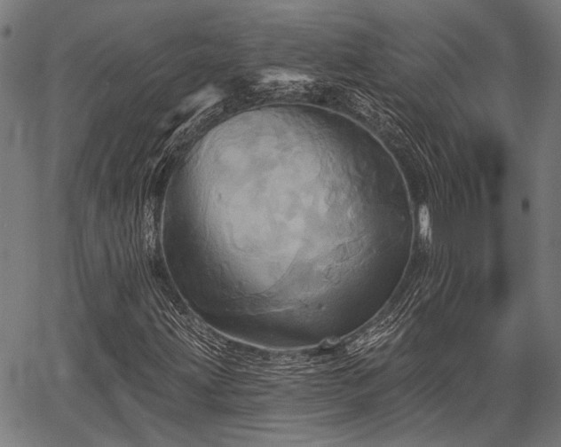 X0000067351203200604030925