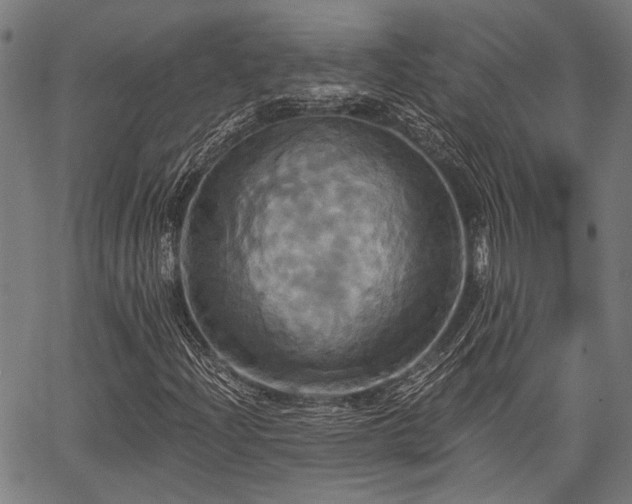 X0000067351204200604030925