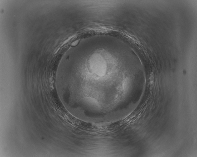 X0000067351205200604030925