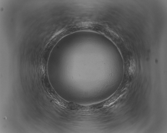 X0000067351206200604030925