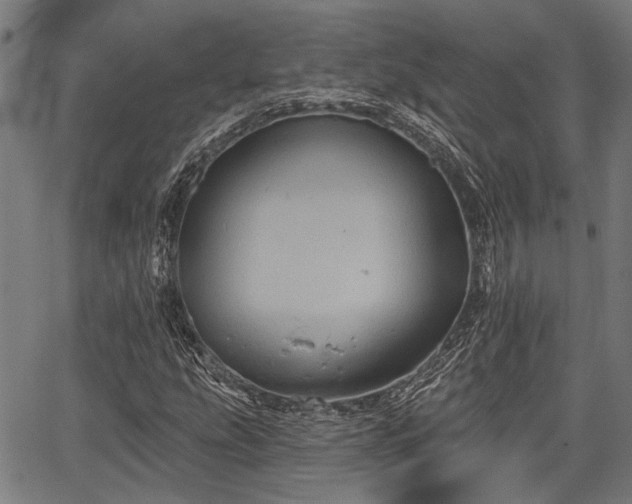 X0000067351207200604030925