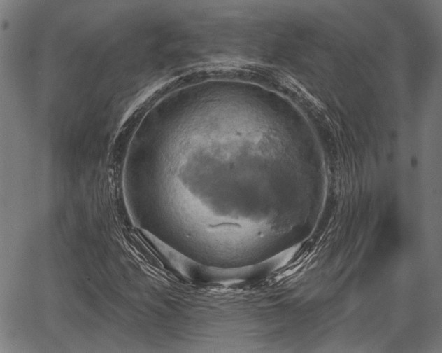 X0000067351208200604030925