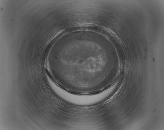 X0000067351209200604030925