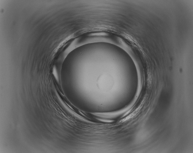 X0000067351210200604030925