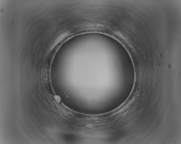 X0000067351211200604030925