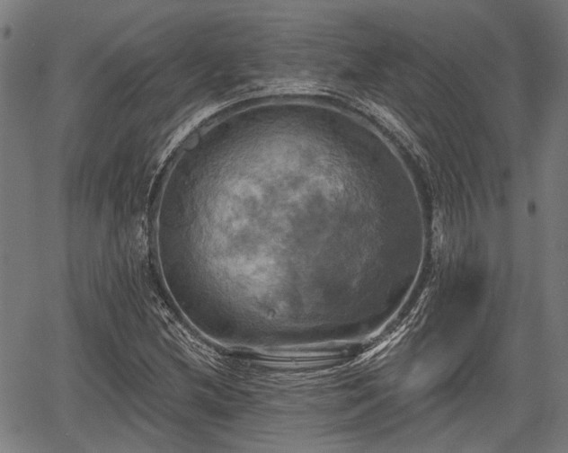 X0000067351212200604030925