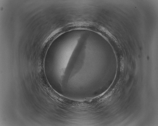 X0000067351213200604030925