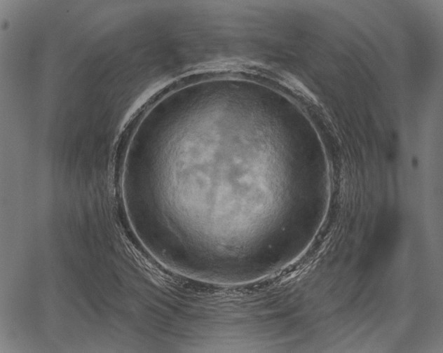 X0000067351216200604030925