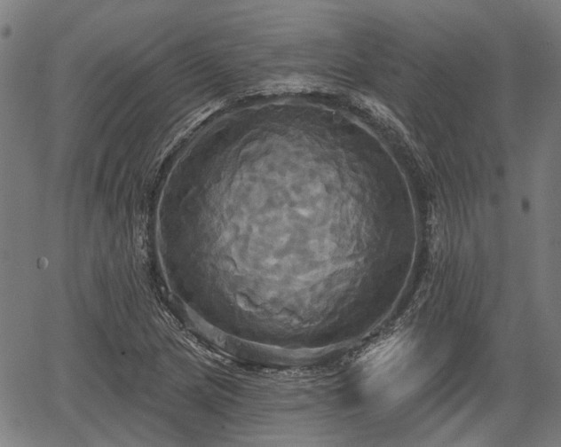 X0000067351217200604030926