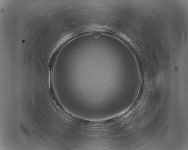 X0000067351219200604030926