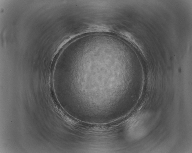 X0000067351220200604030926