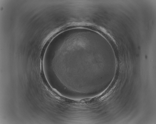 X0000067351221200604030926