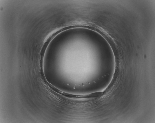 X0000067351222200604030926