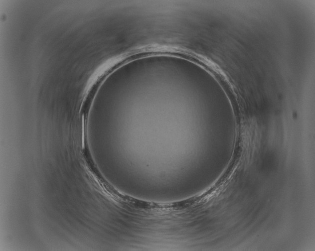 X0000067351223200604030926