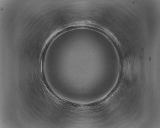 X0000067351224200604030926