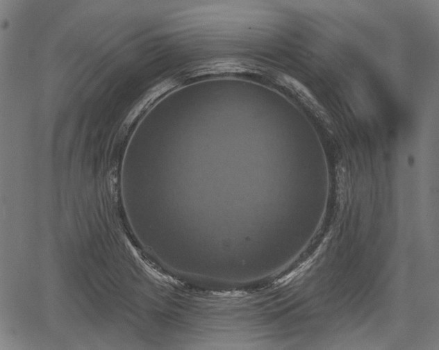 X0000067351225200604030926