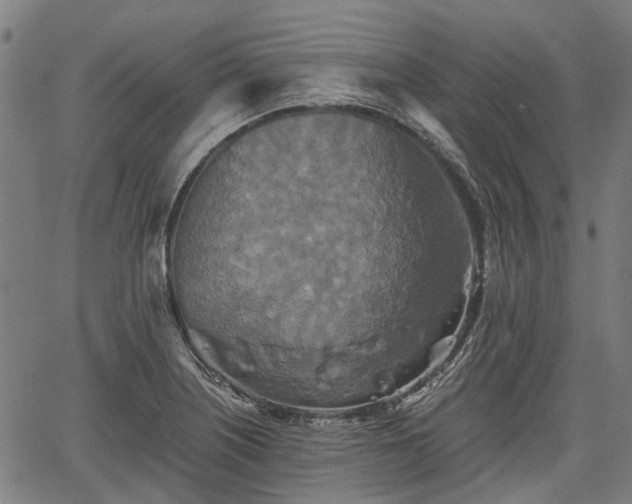 X0000067351226200604030926