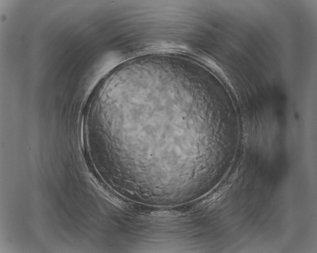 X0000067351227200604030926