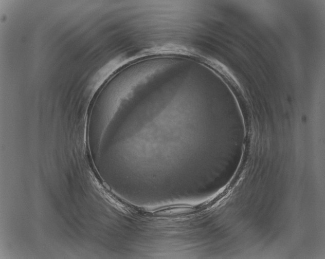 X0000067351228200604030926