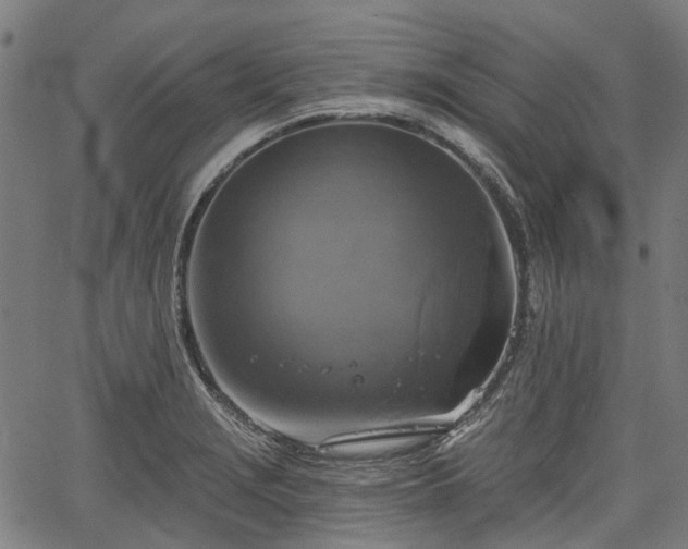 X0000067351229200604030926