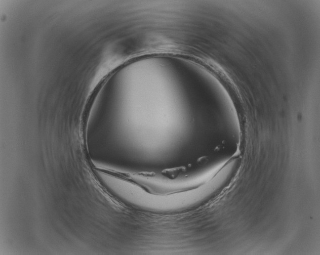 X0000067351230200604030926