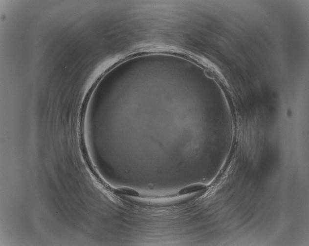 X0000067351231200604030926