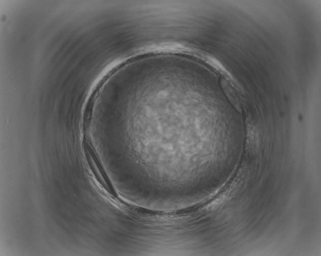 X0000067351232200604030926