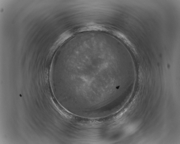 X0000067351233200604030926