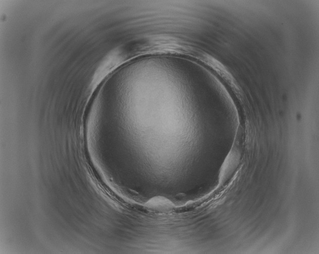 X0000067351234200604030926