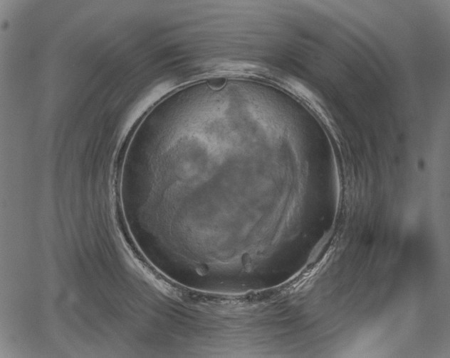 X0000067351235200604030926