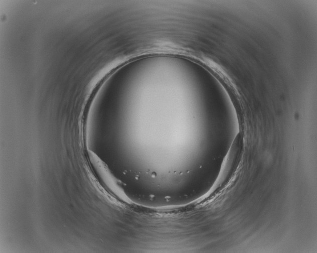 X0000067351238200604030926