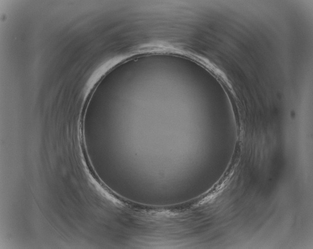 X0000067351239200604030926