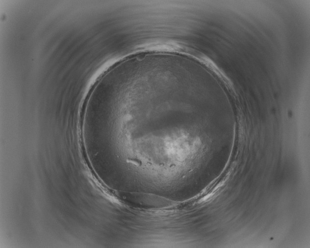 X0000067351240200604030926