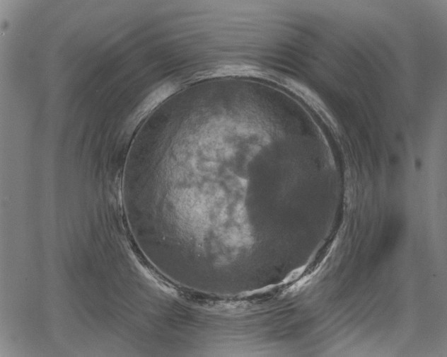 X0000067351241200604030926